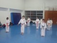 /album/fotos%20exame%20de%20gradua%c3%a7%c3%a3o/karate-27-jpg/